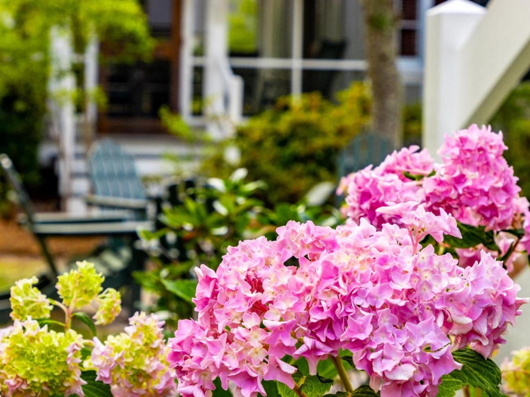 River Dunes Oriental Bagian luar foto
